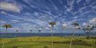 Lord Howe Island - NSW SQ (PBH4 00 11778)